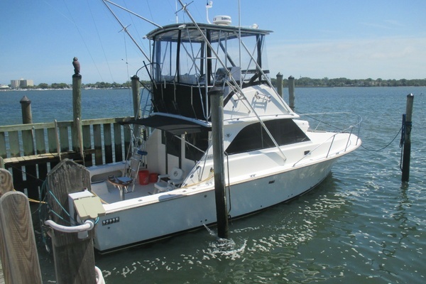 Picture Of: 1984 Bertram 35 Convertible Night Moves