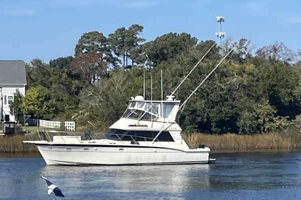 Picture Of: 1983 Hatteras High Performance Convertible The Cowboy's Hat