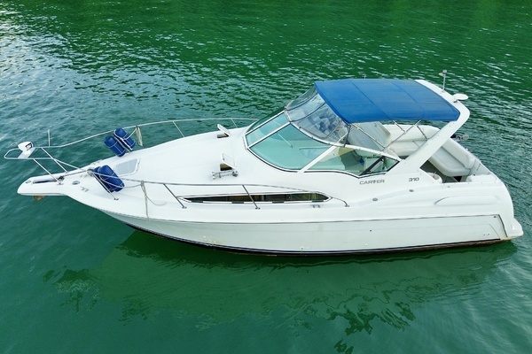 Picture Of: 1996 Carver 310 Mid Cabin Express 