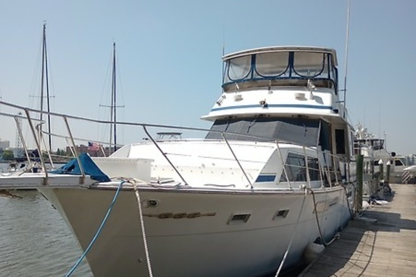 Picture Of: 1986 Chris-Craft Constellation 500 Dreamin Aweigh