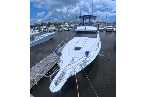 Picture Of: 1988 Sea Ray 415 Aft Cabin 