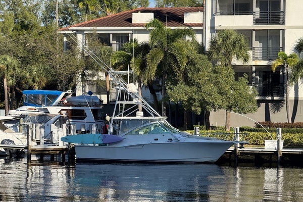 Picture Of: 2001 Cabo 35 Express Island Oasis
