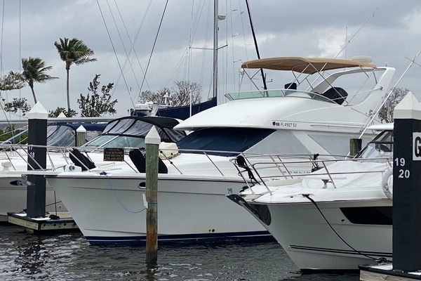 Picture Of: 2001 Bayliner 3988 Motoryacht 