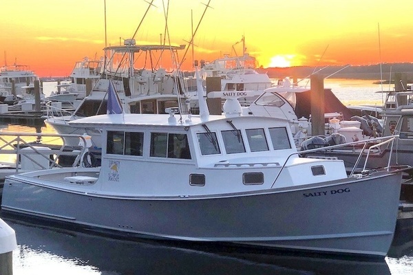 Picture Of: 2003 Downeast 36 Rowe Salty Dog