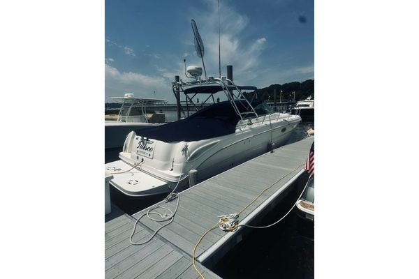 Picture Of: 2005 Sea Ray 29 Amberjack Fiasco