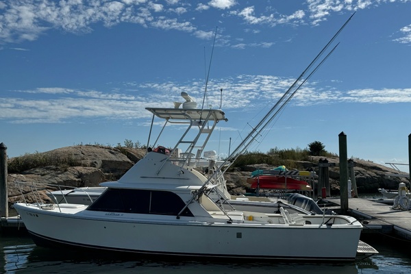 1972 Bertram 31