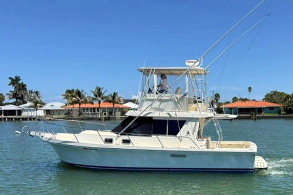Picture Of: 2001 Albin 35 Tournament Express 