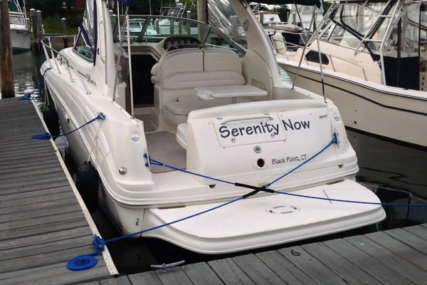 Picture Of: 2004 Sea Ray 300 Sun Dancer SERENITY NOW
