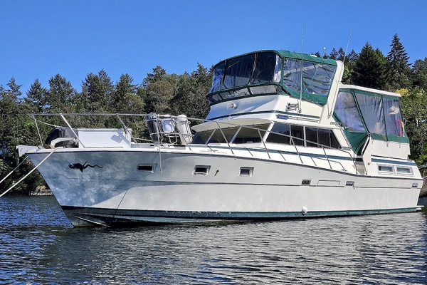 Viking 43 DC