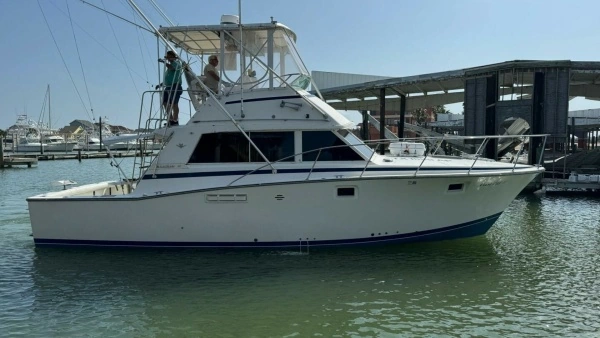 Picture Of: 1983 Bertram 385 Convertible Cast Off II