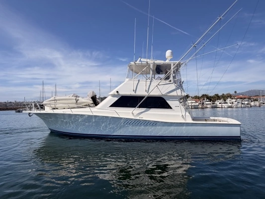 Picture Of: 1994 Viking 50 Convertible WILD RICE