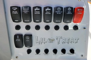 Enviboats Skiff 17 - Helm electronics