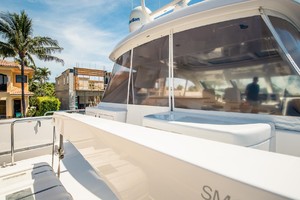 Hatteras 72 - Taz - Davit and Entrance