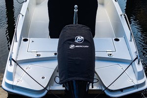 Boston Whaler 21 - Engine