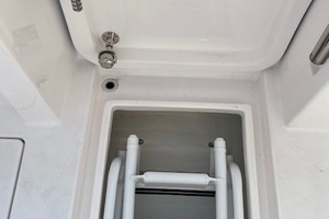 Intrepid 34 - Fold Under Swim Ladder