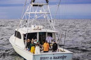 H&H Marine 40 - Hunt & Harvest - Stern Profile