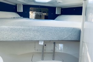 Intrepid 37