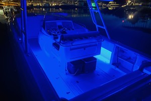 Intrepid 37