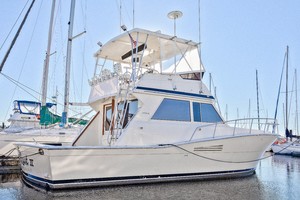 Viking 41 - Yota Life - Exterior Profile